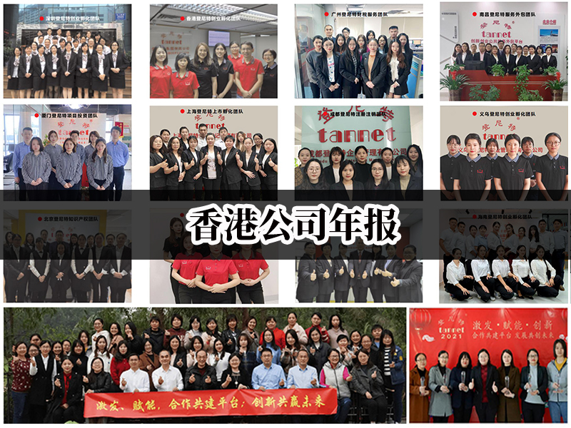 香港公司年報